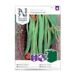 Frö Rosenböna Nelson Garden Preisgewinner