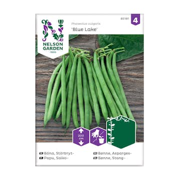 Frö Störbrytböna Nelson Garden Blue Lake
