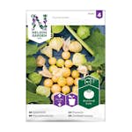 Frö Gyllenbär Nelson Garden