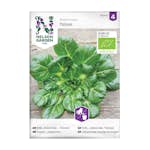 Frö Asiatisk Kål Nelson Garden Tatsoi Organic