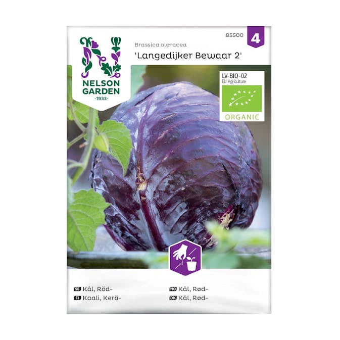 Frö Rödkål Nelson Garden Langedijker Bewaar 2 Organic