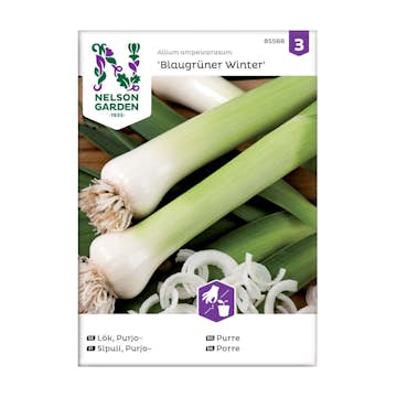 Frö Purjolök Nelson Garden Blaugrüner Winter