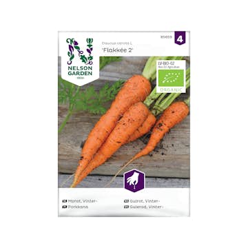 Frö Vintermorot Nelson Garden Flakkée 2
