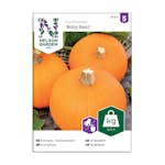 Frö Pumpa Nelson Garden Baby Bear Mini