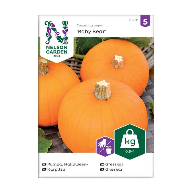 Frö Pumpa Nelson Garden Baby Bear Mini