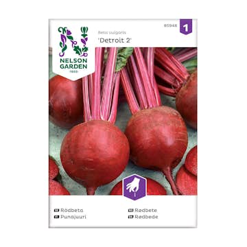 Frö Rödbeta Nelson Garden Detroit 2