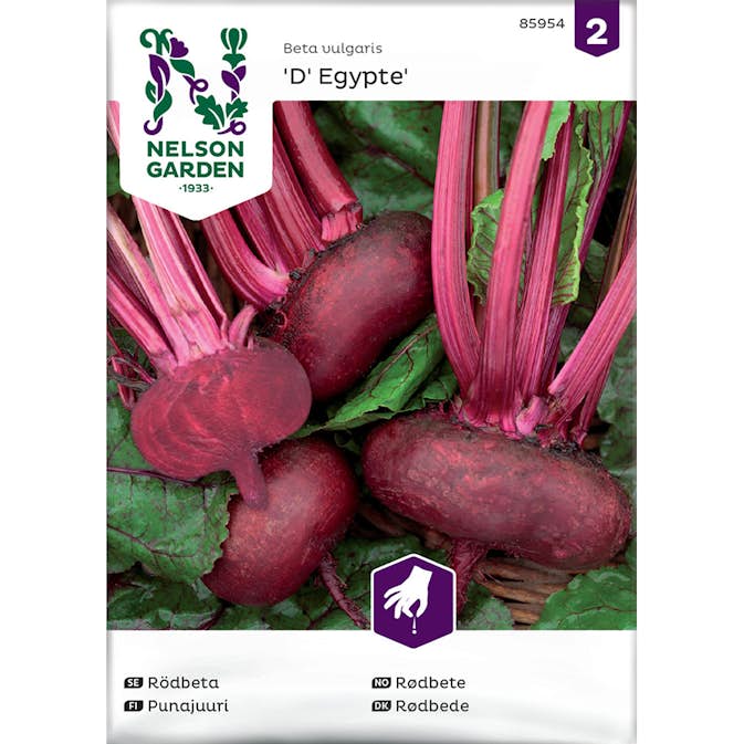 Rödbeta Nelson Garden D' Egypte