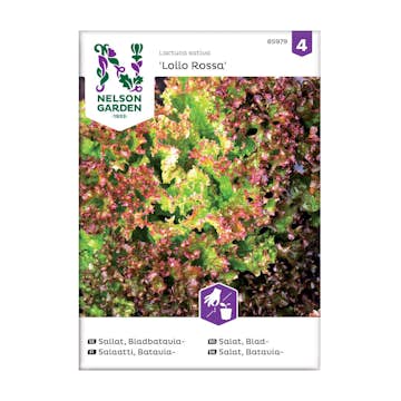 Frö Sallat Bladbatavia Nelson Garden Lollo Rossa