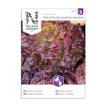 Frö Huvudsallat Nelson Garden Merveille des quatre sai