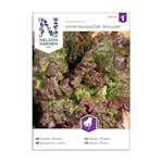 Frö Plocksallat Nelson Garden Amerikanischer brauner