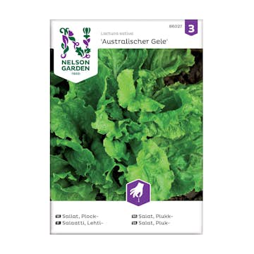 Frö Plocksallat Nelson Garden Australische Gele