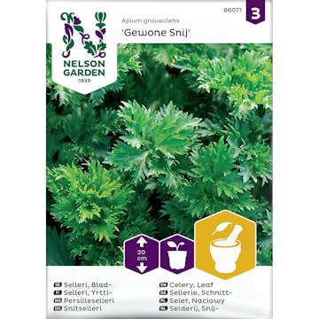 Frö Bladselleri Nelson Garden Gewone Snij