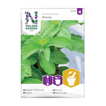 Frö Stevia Nelson Garden Sötflockel
