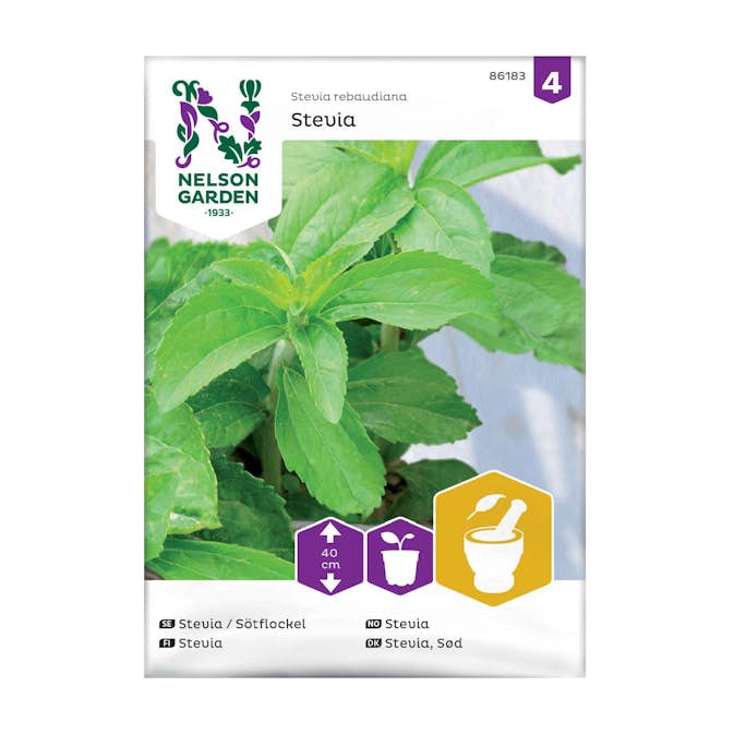 Frö Stevia Nelson Garden Sötflockel