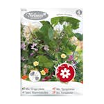 Frö Slingerväxter Nelson Garden Mix