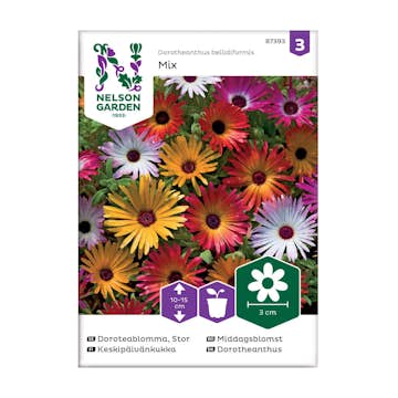 Frö Doroteablomma Nelson Garden Stor Mix