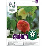 Frö Klockmalva Blomsterlönn Nelson Garden Bl färger