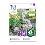 Frö Honungsfacelia Nelson Garden Blå Organic