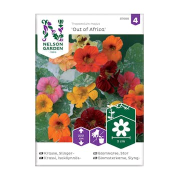 Frö Slingerkrasse Nelson Garden Out of Africa