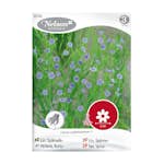 Frö Spånadslin Nelson Garden Blå