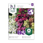 Frö Sommarlövkolja Nelson Garden Ten Week Mix
