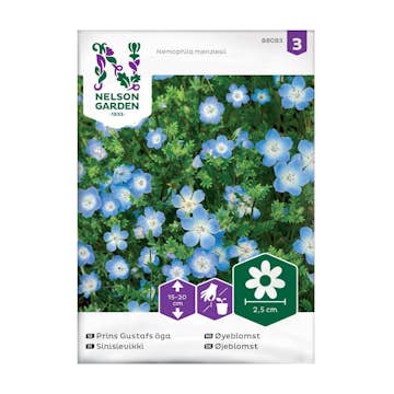 Frö Prins Gustafs Öga Nelson Garden Ljusblå