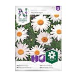 Frö Prästkrage Nelson Garden Maikönigin Vit