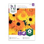 Frö Ringblomma Nelson Garden Daisy Citrus Mix