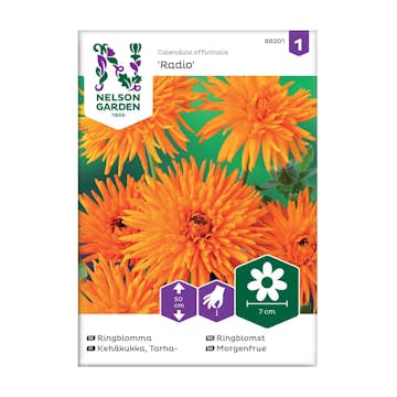 Frö Ringblomma Nelson Garden Radio