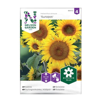 Frö Solros Nelson Garden Sunspot Låg