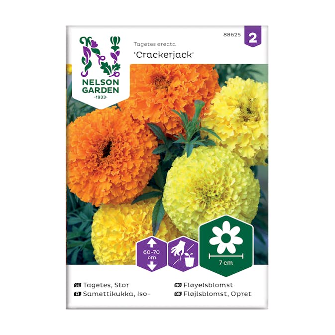 Frö Tagetes Nelson Garden Crackerjack stor