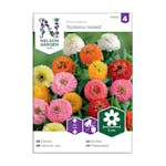 Frö Zinnia Nelson Garden Sunbow Mix