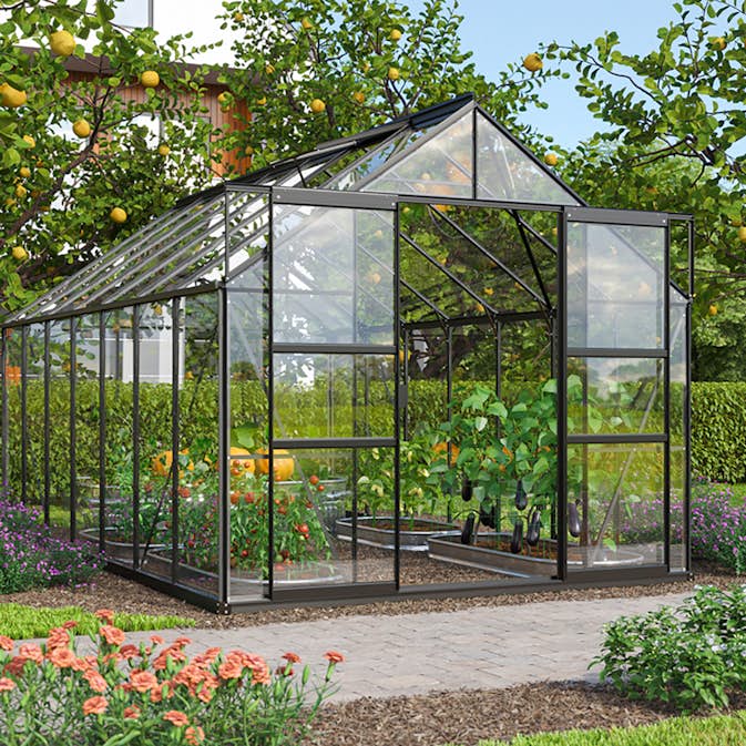 Växthus Vitavia Mars 11500 3mm Härdat Glas Svart