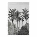 Fototapet Art For The Home Palm Lämnar 89434