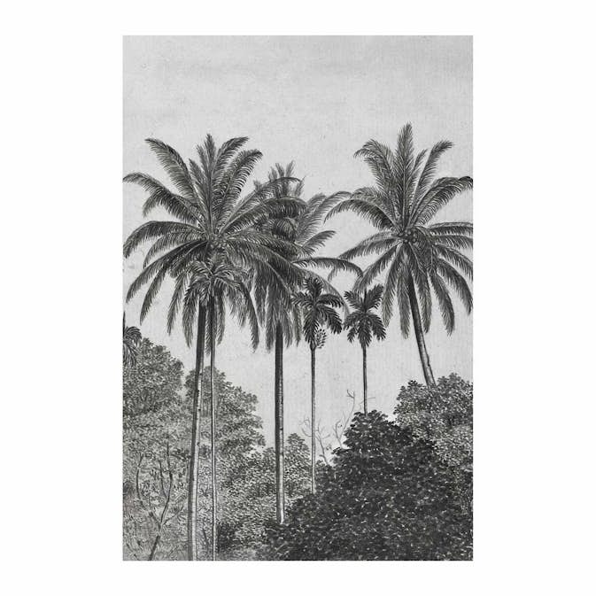 Fototapet Art For The Home Palm Lämnar 89434