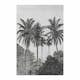 Fototapet Art For The Home Palm Lämnar 89434