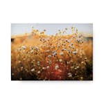 Tavla Art for the Home Fieldflower 70x100