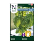 Frö Basilika Nelson Garden Ordinary