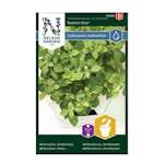 Frö Basilika Nelson Garden Småbladig Balkon Star