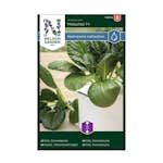 Frö Kål Nelson Garden Komatsuna Malachai F1