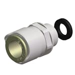 Adapterkoppling Whale BSP 1/2 15 mm