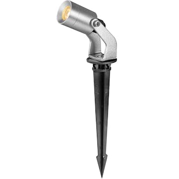 Spotlight Llitt Allan More