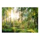 Fototapet Arkiio Självhäftande Untamed Nature