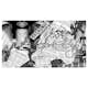 Fototapet Arkiio New York news 450x280 cm
