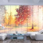 Fototapet Arkiio Självhäftande Autumn Sun