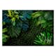 Fototapet Arkiio Dark Jungle 450x315 cm