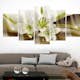 Akrylglastavla Arkiio Modern Lily