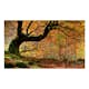 Fototapet Arkiio Höst, skog och löv 450x270 cm