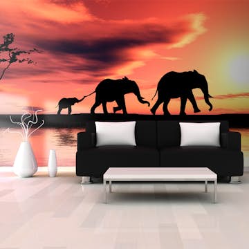 Fototapet XXL Arkiio elephants family 550x270 cm