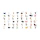 Fototapet XXL Arkiio Learning by playing animals 550x270 cm
